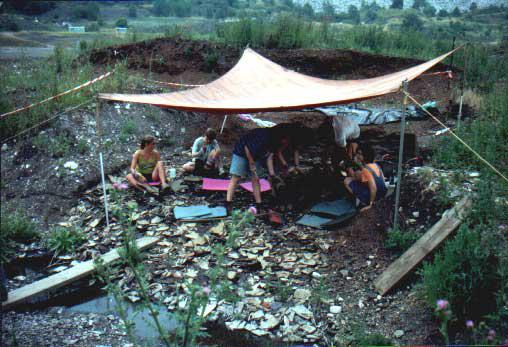 An excavation site in the Messel Pit