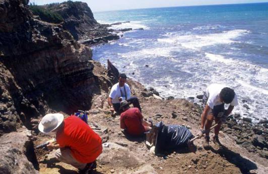An excavation site in the cliffs near Lourinhã